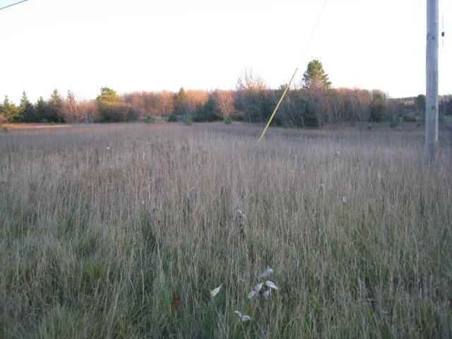 16. Land for Sale at M-68 Alanson, Michigan 49706 United States