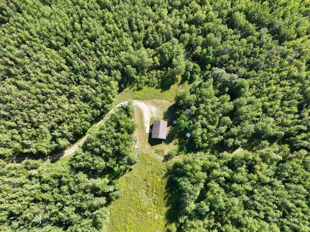 27. Land for Sale at 8266 Dekfuif Road Levering, Michigan 49755 United States
