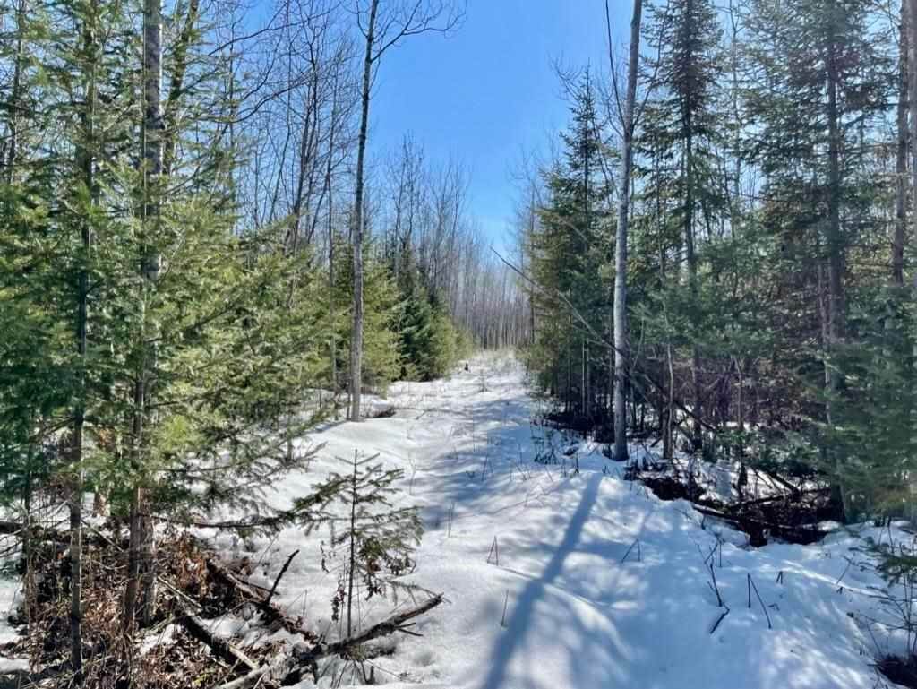 33. Land for Sale at 8266 Dekfuif Road Levering, Michigan 49755 United States
