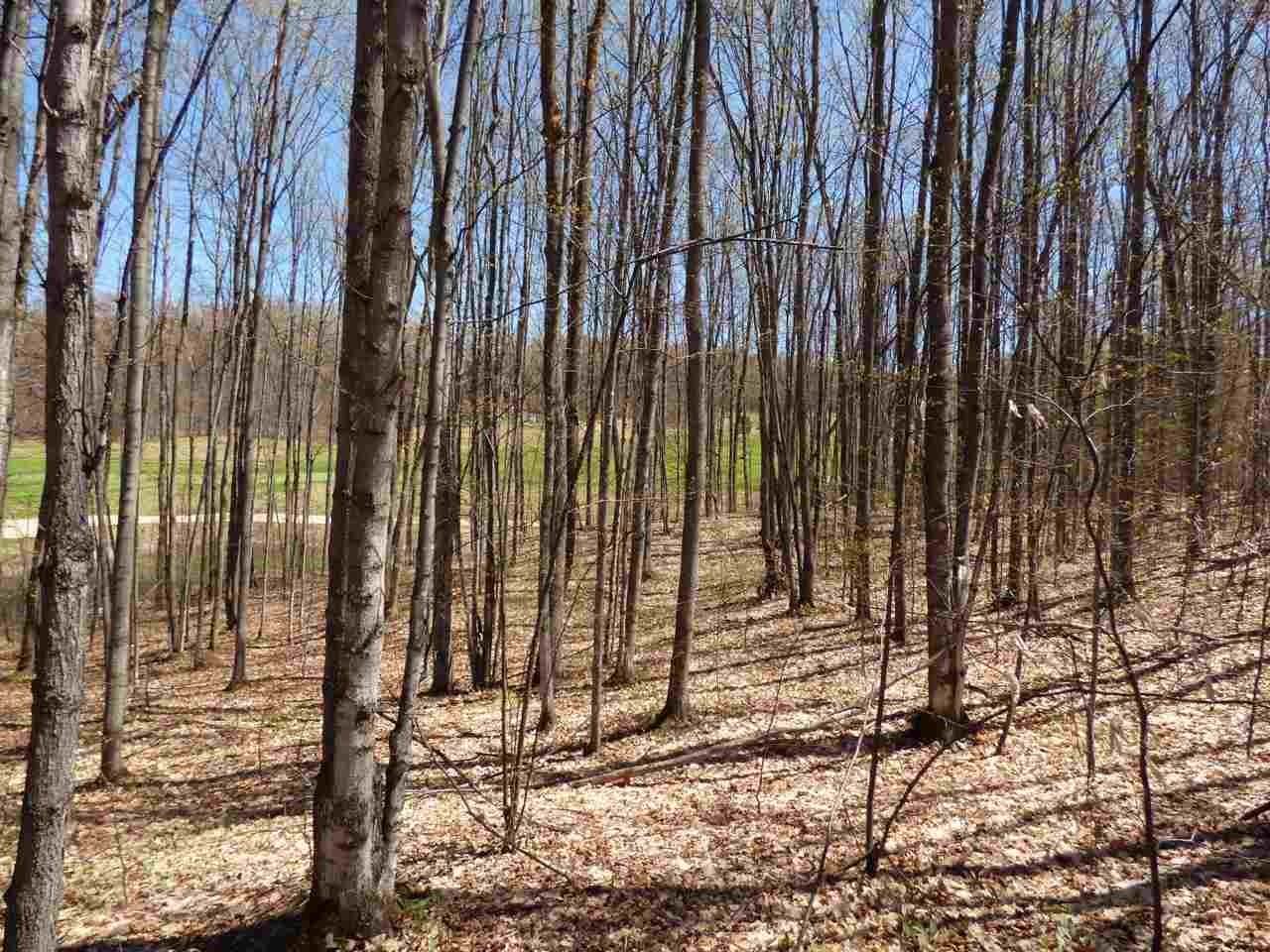 17. Land for Sale at 127 & 128 Raptor Run Bellaire, Michigan 49615 United States
