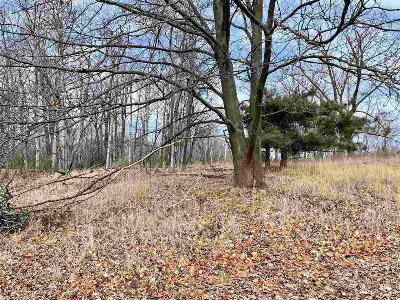 2. Land for Sale at TBD Bluff Terrace Harbor Springs, Michigan 49740 United States