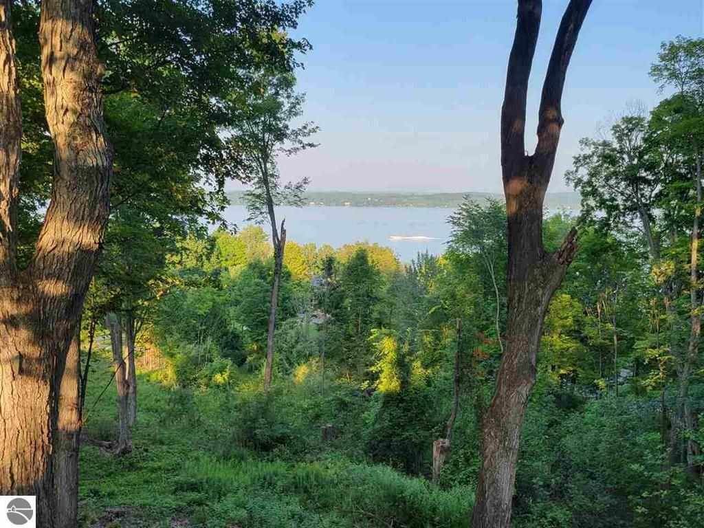 Land for Sale at Lot 5 Torch Hills Lane Rapid City, Michigan 49676 United States