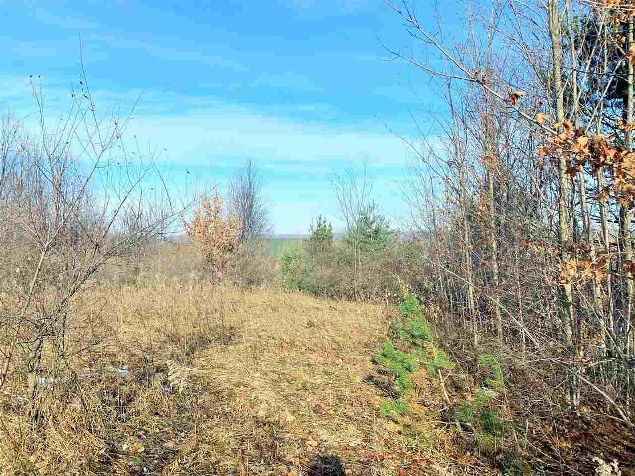 2. Land for Sale at Lot 5 Ranch Drive Bellaire, Michigan 49615 United States