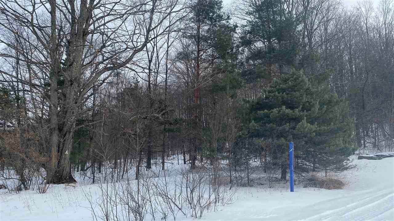 5. Land for Sale at Lot 202 Clearview Drive Bellaire, Michigan 49615 United States