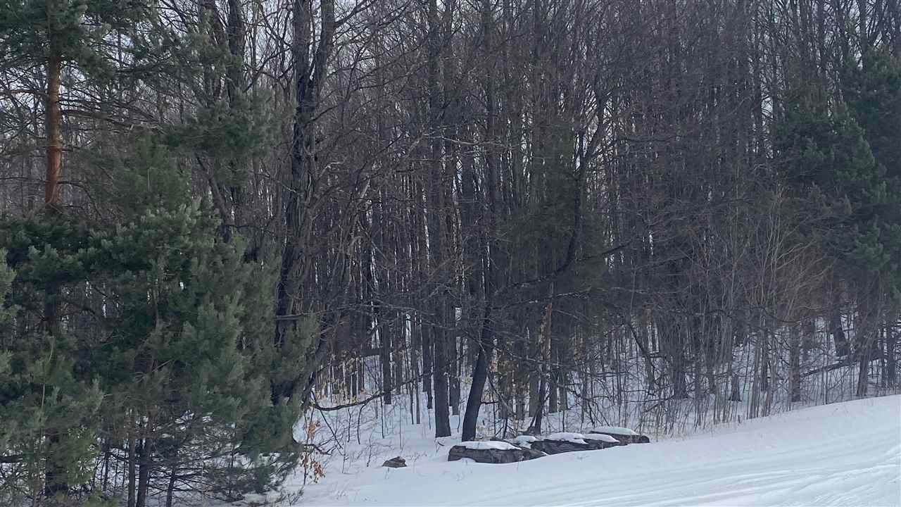 6. Land for Sale at Lot 202 Clearview Drive Bellaire, Michigan 49615 United States