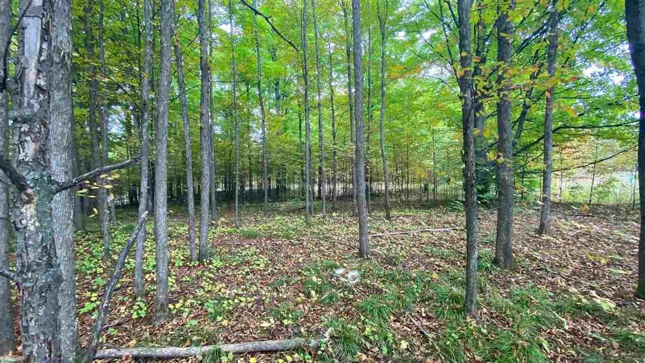 9. Land for Sale at Lot 11 Sparrow Hawk Drive Bellaire, Michigan 49615 United States