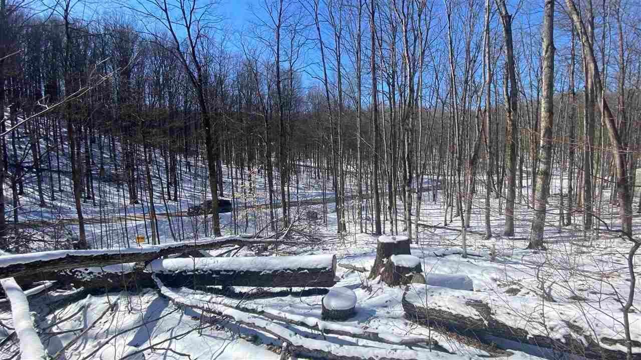 3. Land for Sale at Lot 163 Clearview Drive Bellaire, Michigan 49615 United States