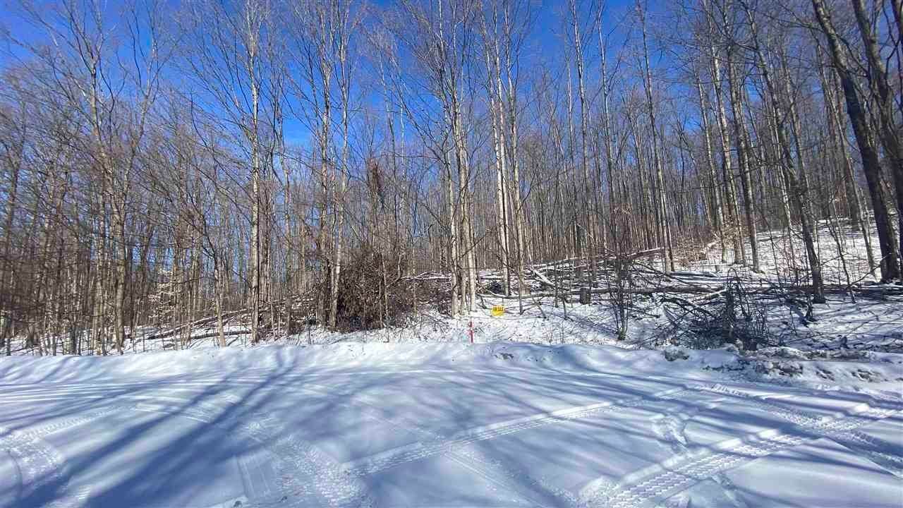 7. Land for Sale at Lot 163 Clearview Drive Bellaire, Michigan 49615 United States