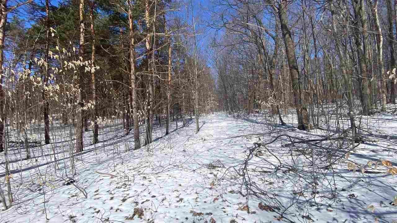 3. Land for Sale at Lot 28 Troon Drive Bellaire, Michigan 49615 United States