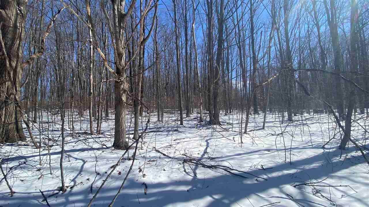 5. Land for Sale at Lot 28 Troon Drive Bellaire, Michigan 49615 United States