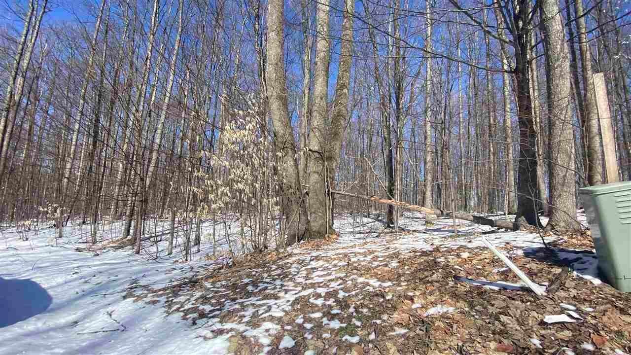 1. Land for Sale at Lot 30 Troon S Drive Bellaire, Michigan 49615 United States