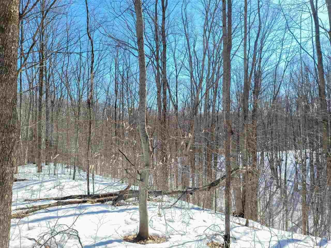 4. Land for Sale at 6530 N Conway Road Alanson, Michigan 49740 United States