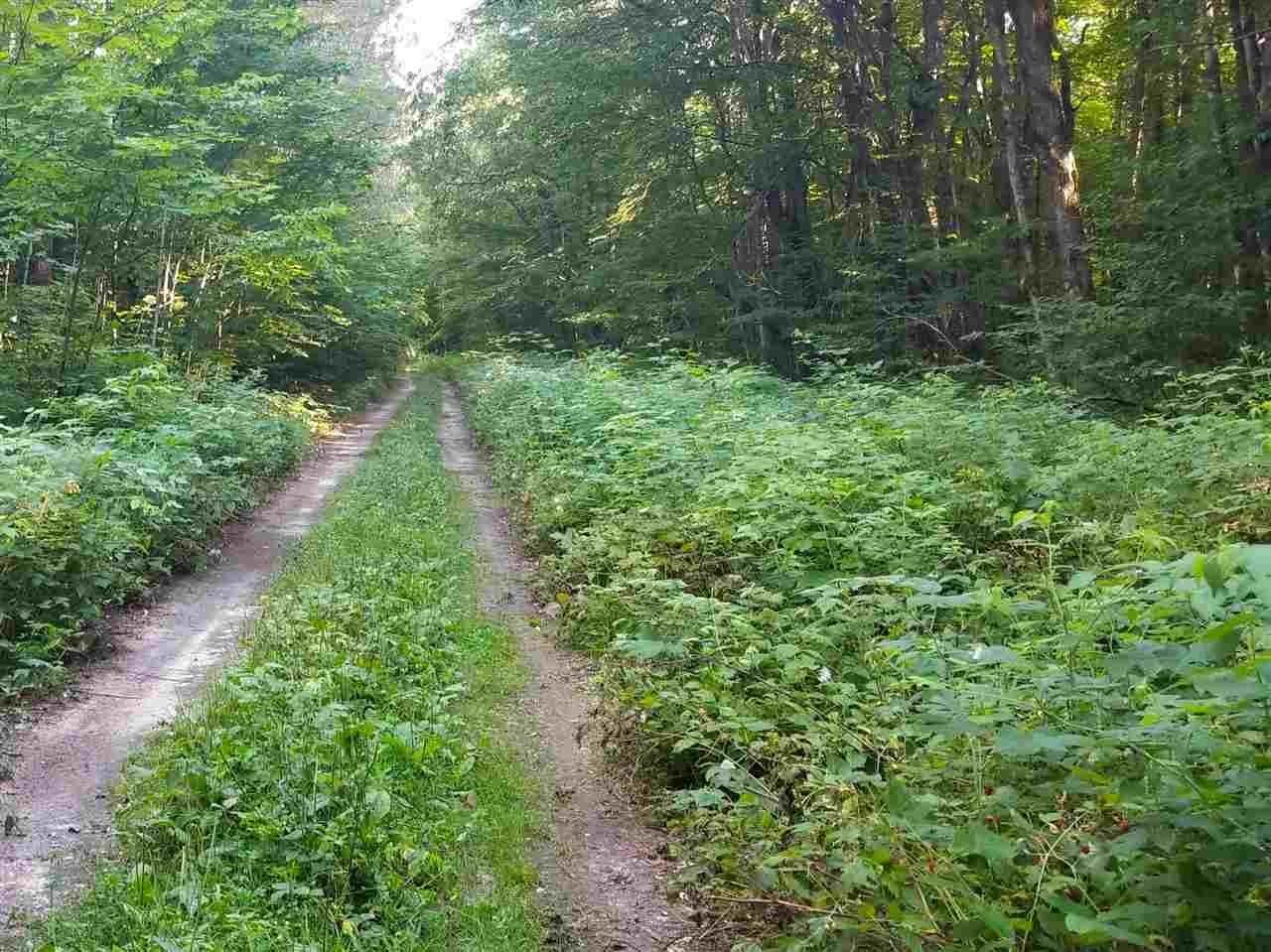 22. Land for Sale at 6546 N Conway Road Alanson, Michigan 49706 United States