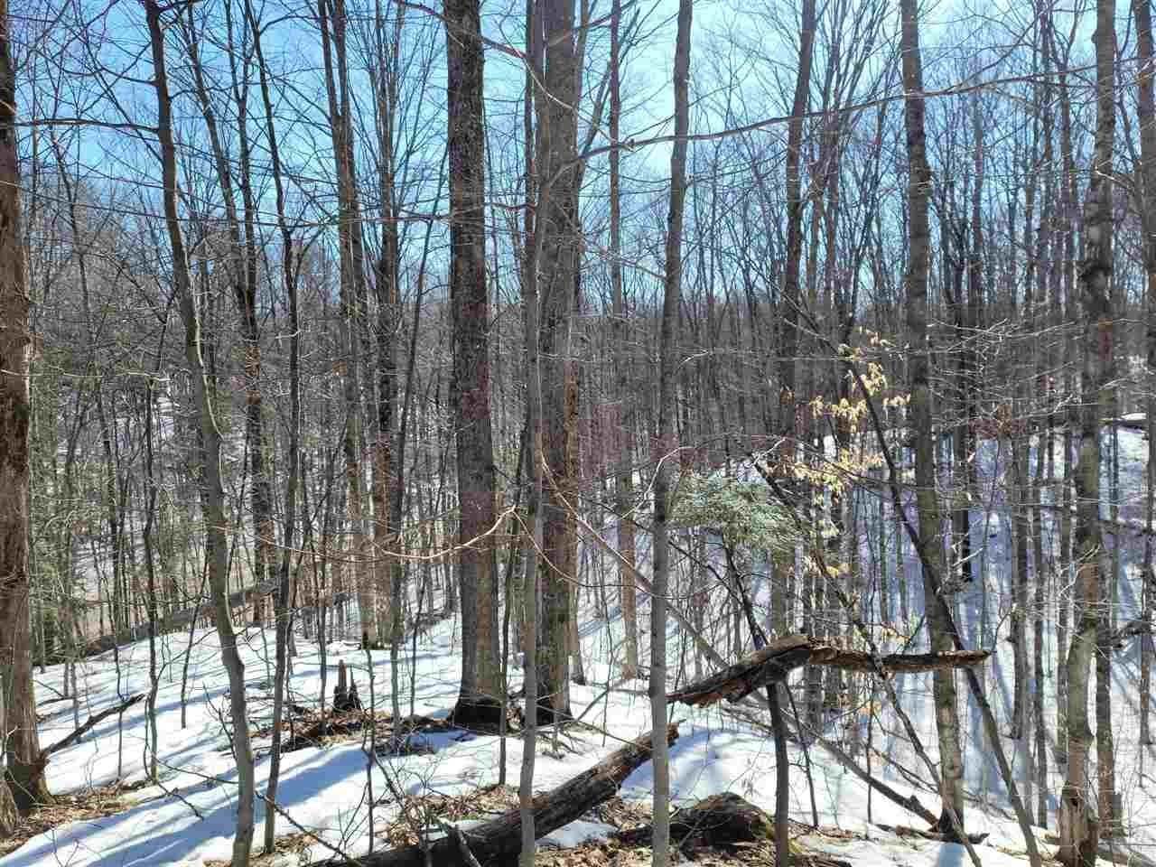 8. Land for Sale at 6546 N Conway Road Alanson, Michigan 49706 United States