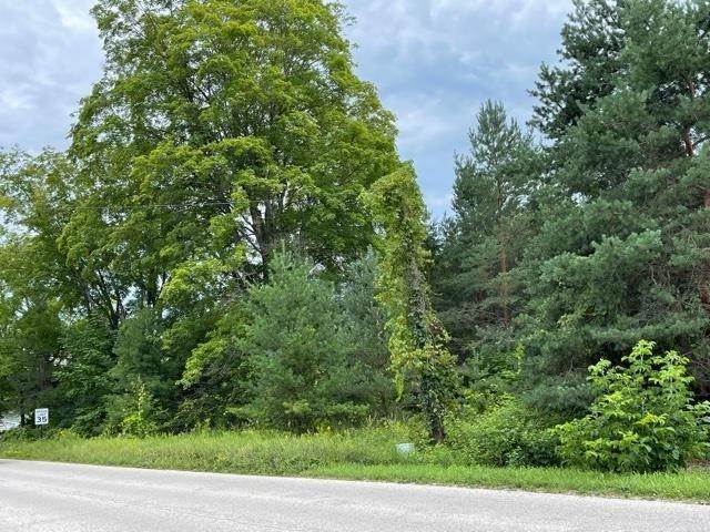 Land for Sale at E State Street Central Lake, Michigan 49622 United States