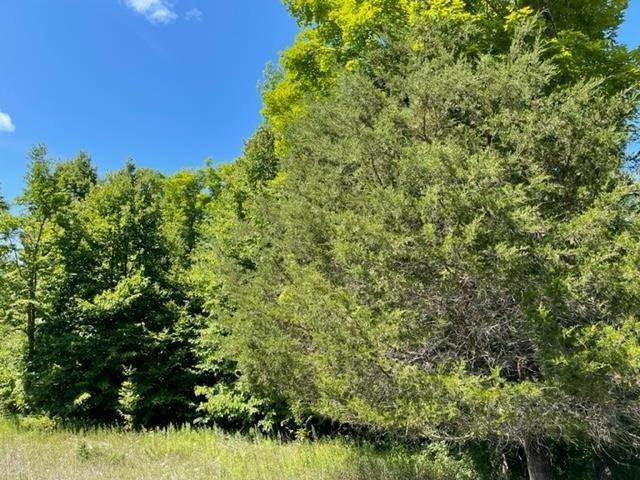 3. Land for Sale at 4435 McKinney Road Central Lake, Michigan 49622 United States