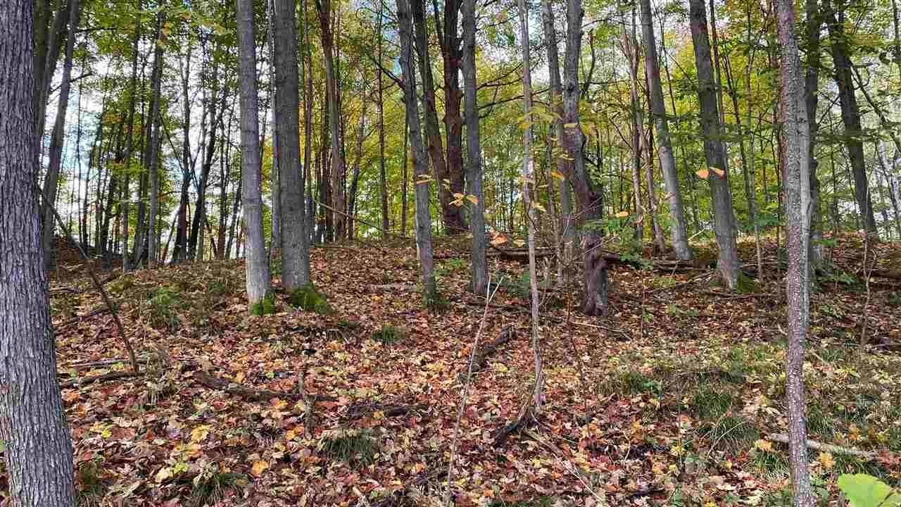 9. Land for Sale at Parcel D Shanty Creek Road Bellaire, Michigan 49615 United States