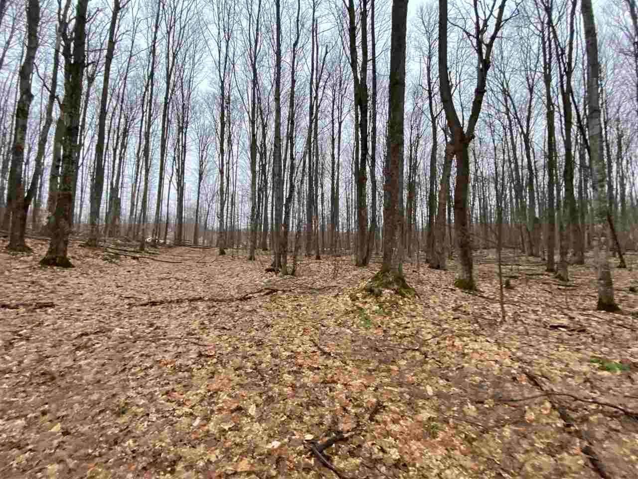 4. Land for Sale at 5693 Frontier Trail Gaylord, Michigan 49735 United States