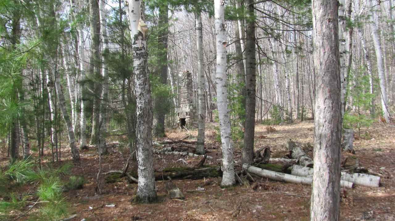 2. Land for Sale at #5 Manitou Shores Trail Levering, Michigan 49755 United States