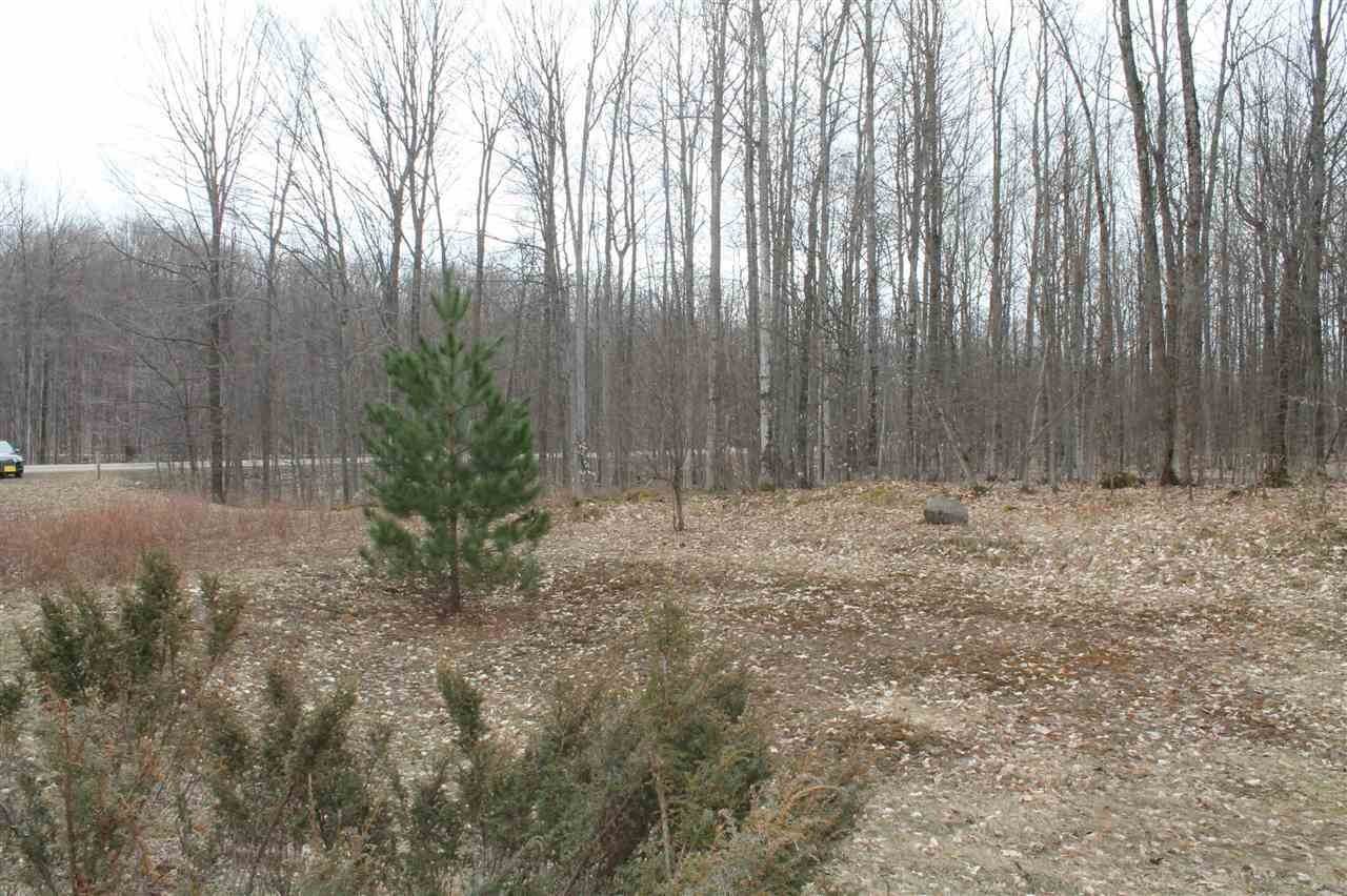 5. Land for Sale at 5994 Pleasantview Road Harbor Springs, Michigan 49740 United States