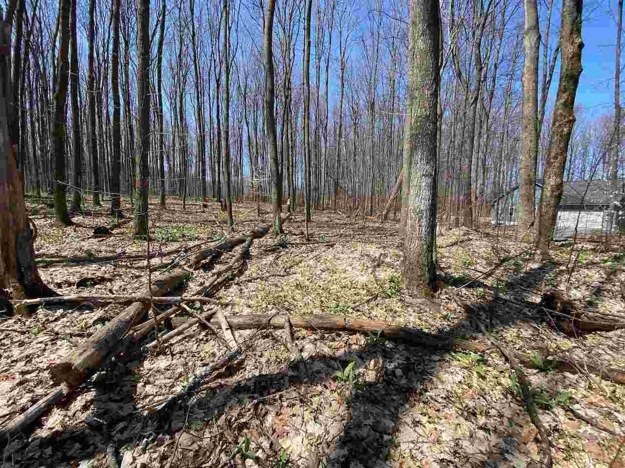 24. Land for Sale at Unit 6 Willow Bend Bellaire, Michigan 49615 United States
