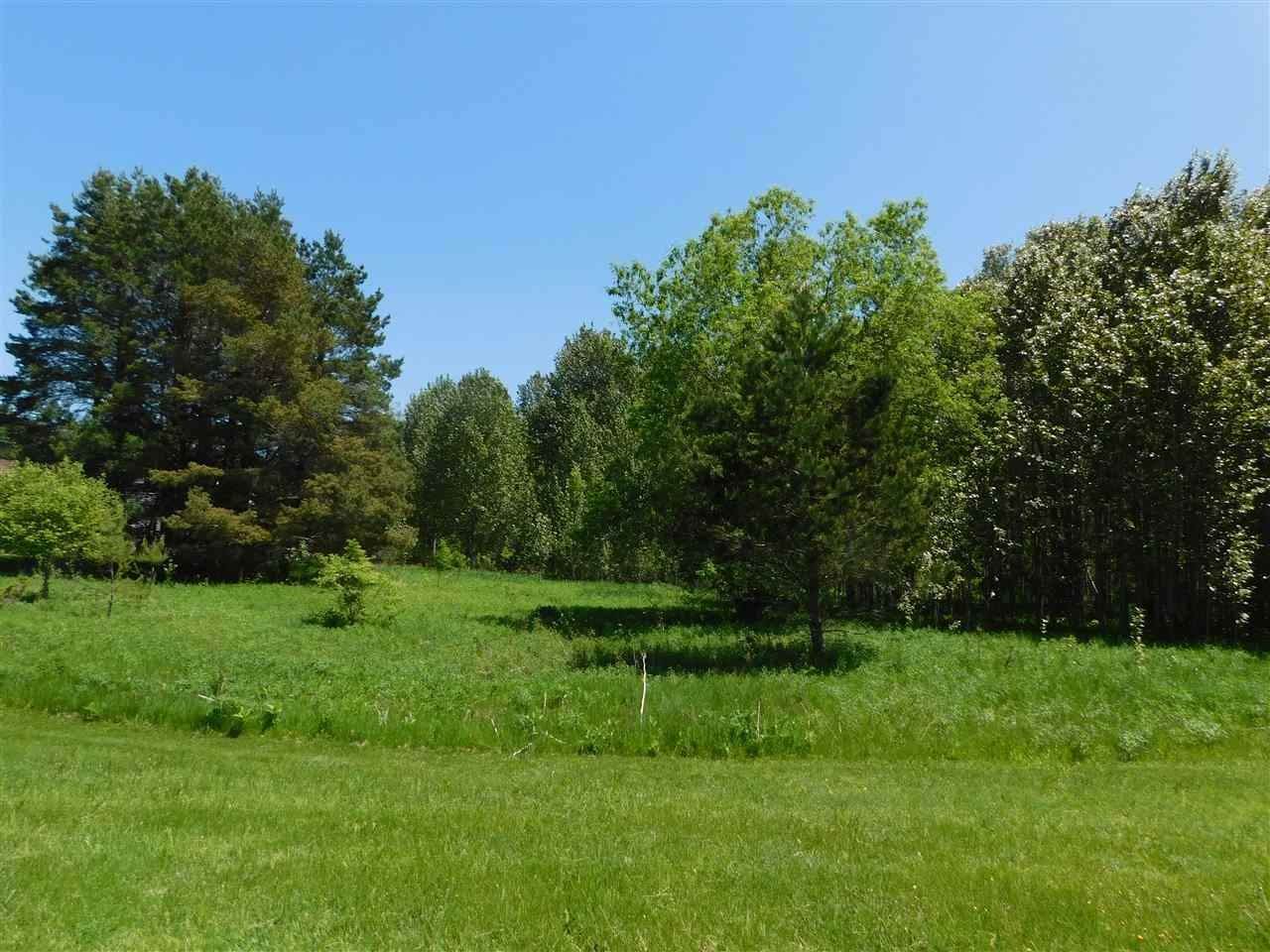 6. Land for Sale at 6430 & 6648 Admiral's Point Drive Alanson, Michigan 49706 United States