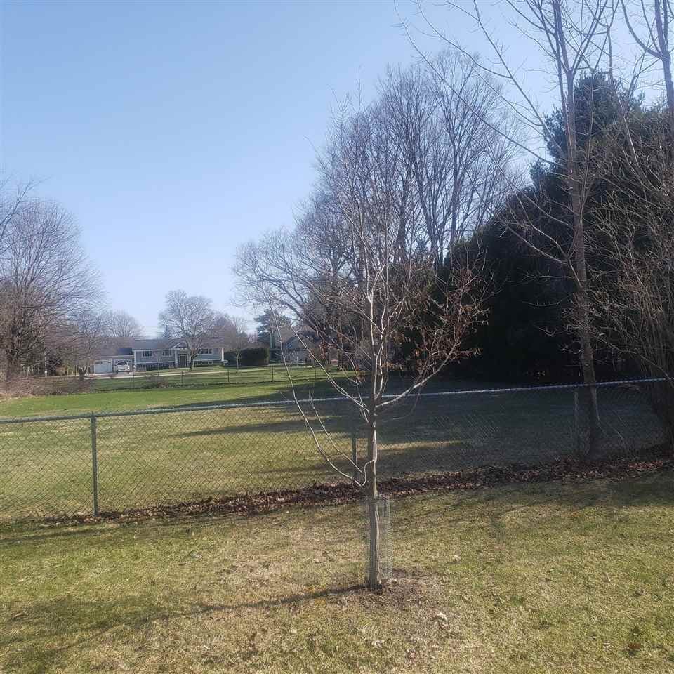 3. Land for Sale at 211 Cherry Street Charlevoix, Michigan 49720 United States