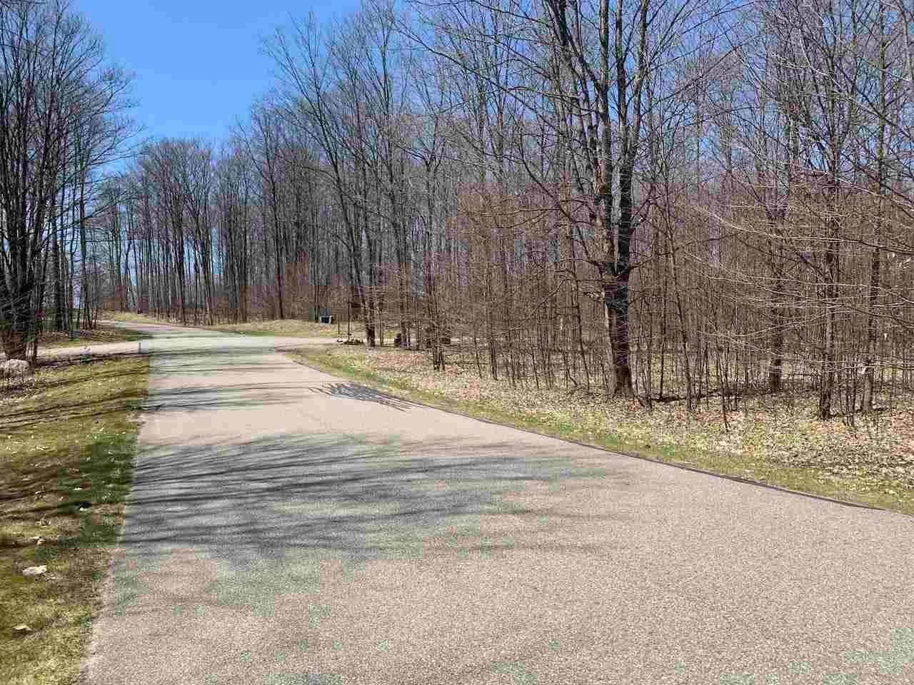 5. Land for Sale at Unit 163 Hawks Eye Drive Bellaire, Michigan 49615 United States