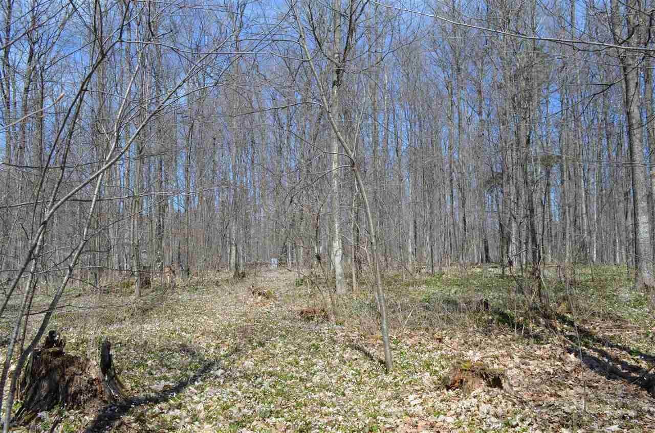 15. Land for Sale at N Ayr Road Alanson, Michigan 49706 United States