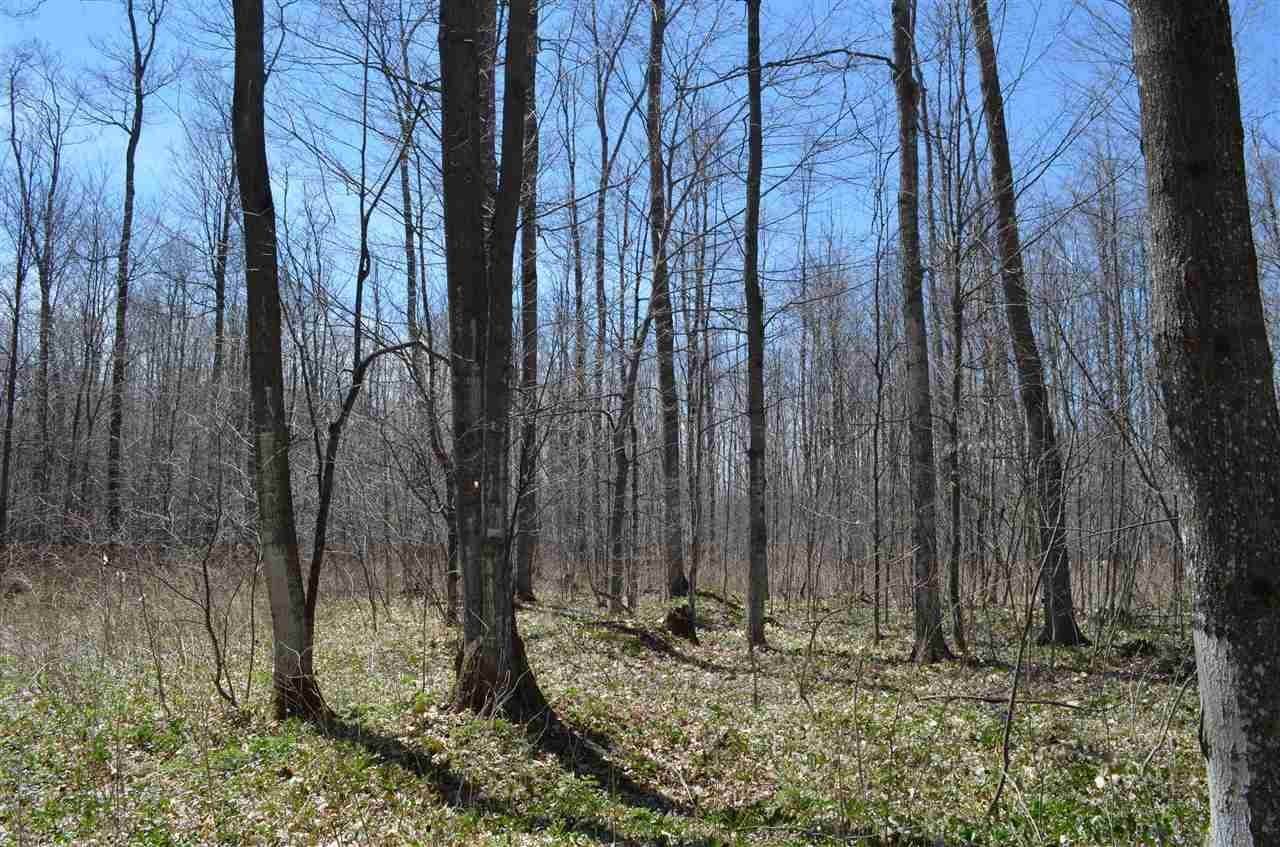 18. Land for Sale at N Ayr Road Alanson, Michigan 49706 United States