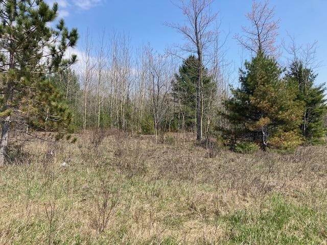 2. Land for Sale at 1208 N US 31 Highway Pellston, Michigan 49769 United States