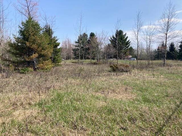 8. Land for Sale at 1208 N US 31 Highway Pellston, Michigan 49769 United States