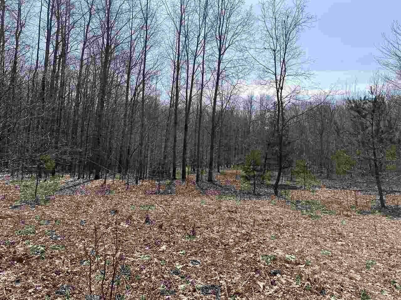 10. Land for Sale at TBD North Conway & Edward Rds Alanson, Michigan 49706 United States