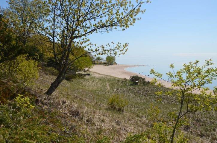 24. Single Family Homes for Sale at 9533 Thorne Street Harbor Springs, Michigan 49740 United States