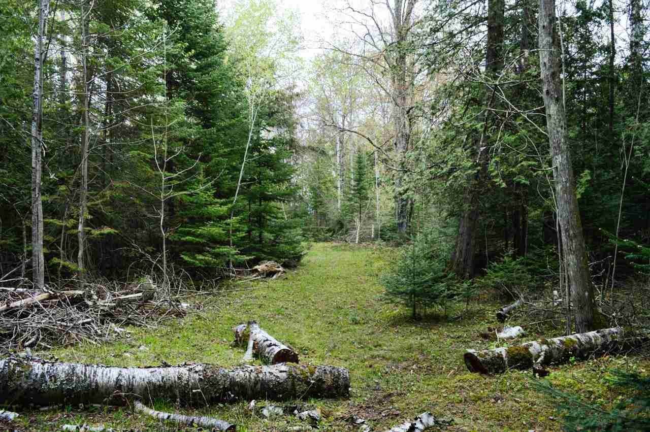 5. Land for Sale at 34470 Mike Boyles Beach Road Beaver Island, Michigan 49782 United States