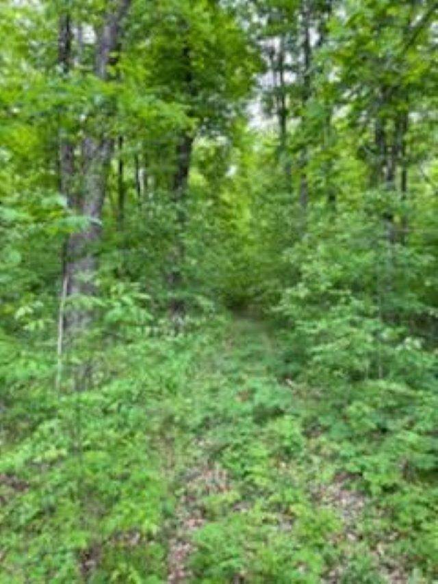 2. Land for Sale at TBD Stutsmanville Road Harbor Springs, Michigan 49740 United States