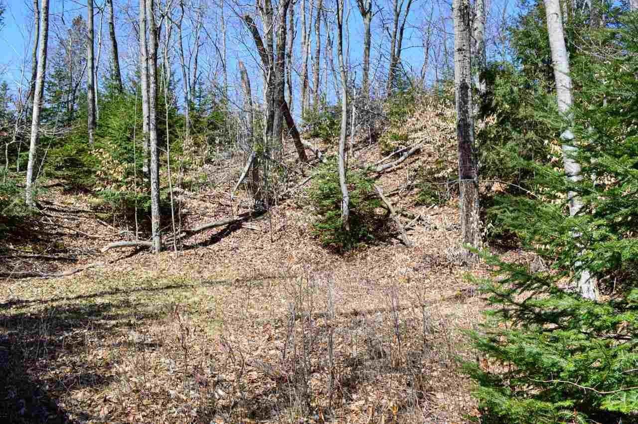 8. Land for Sale at Donegal Bay Road Beaver Island, Michigan 49782 United States