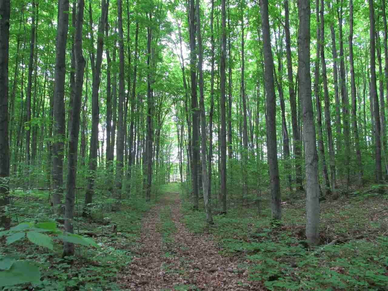 5. Land for Sale at Cassidy Road Levering, Michigan 49755 United States