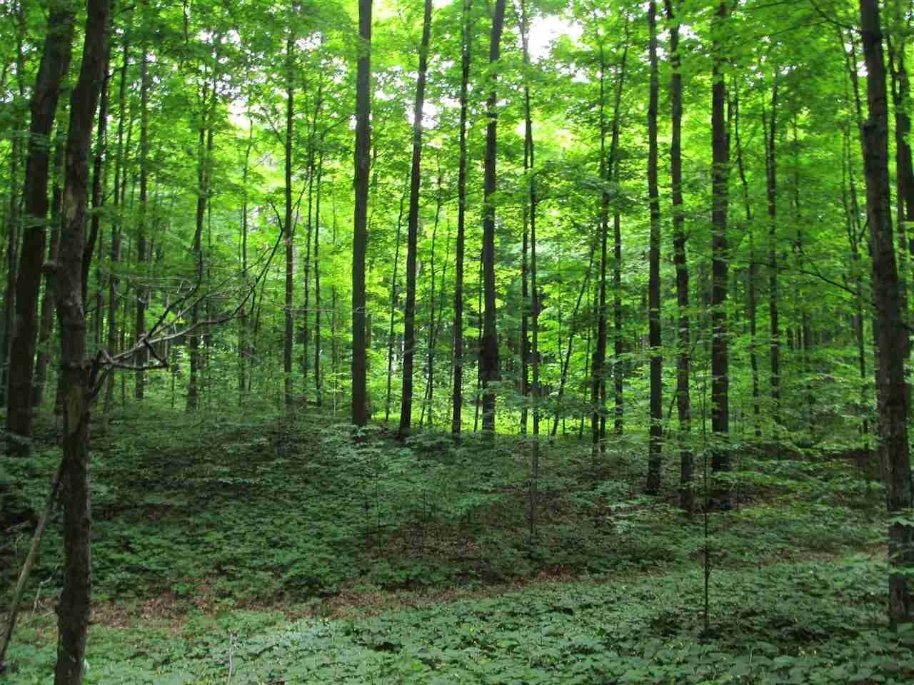 10. Land for Sale at Cassidy Road Levering, Michigan 49755 United States