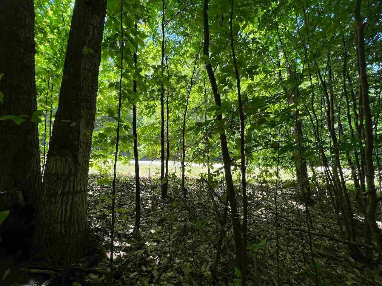 17. Land for Sale at 165 Raptor Run Bellaire, Michigan 49615 United States