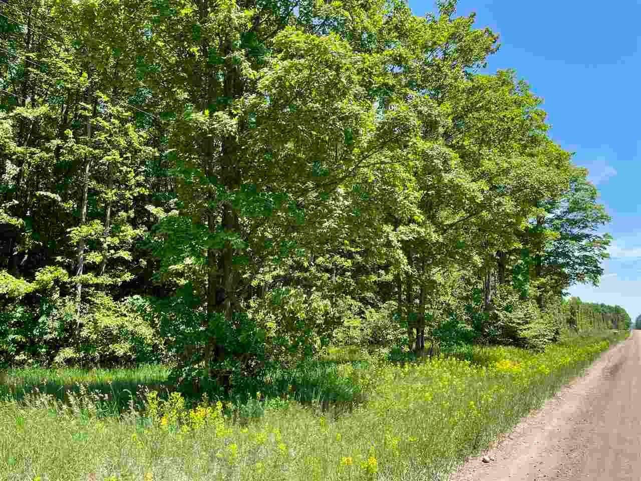 11. Land for Sale at Soderquist Road Mancelona, Michigan 49659 United States