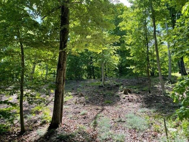 4. Land for Sale at 1715 Foxcroft Court Harbor Springs, Michigan 49740 United States
