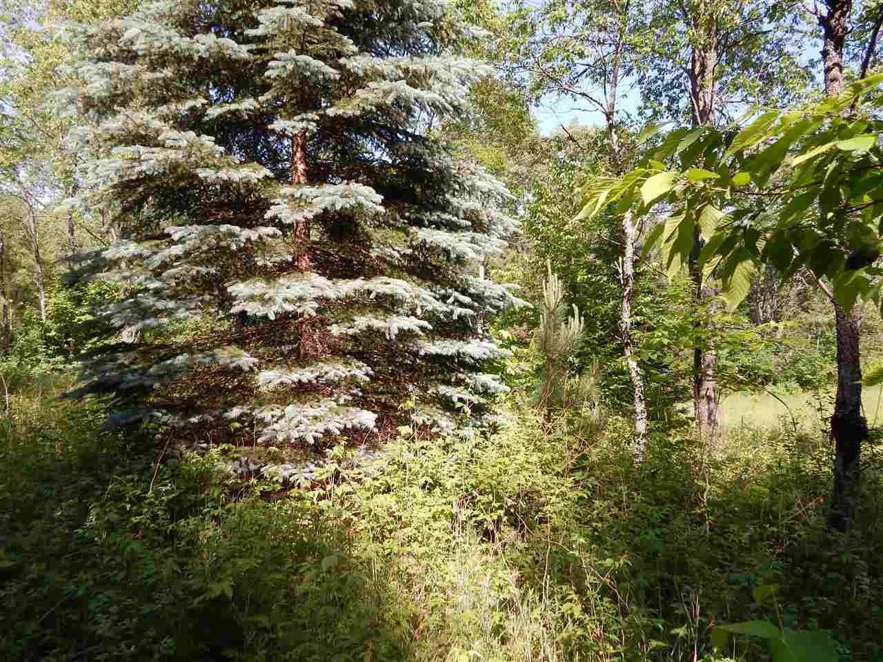 7. Land for Sale at TBD Reams Road Wolverine, Michigan 49799 United States