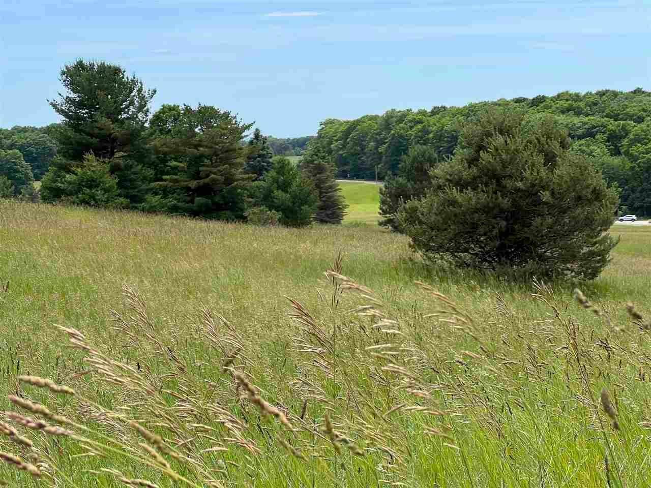 30. Land for Sale at 5850 Deer Run Trail Harbor Springs, Michigan 49740 United States