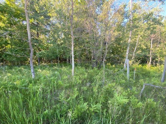 6. Land for Sale at TBD W Garfield Street Charlevoix, Michigan 49720 United States