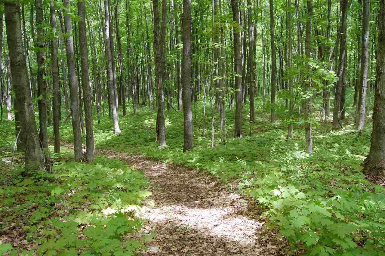 9. Land for Sale at MAPLE Avenue Charlevoix, Michigan 49720 United States