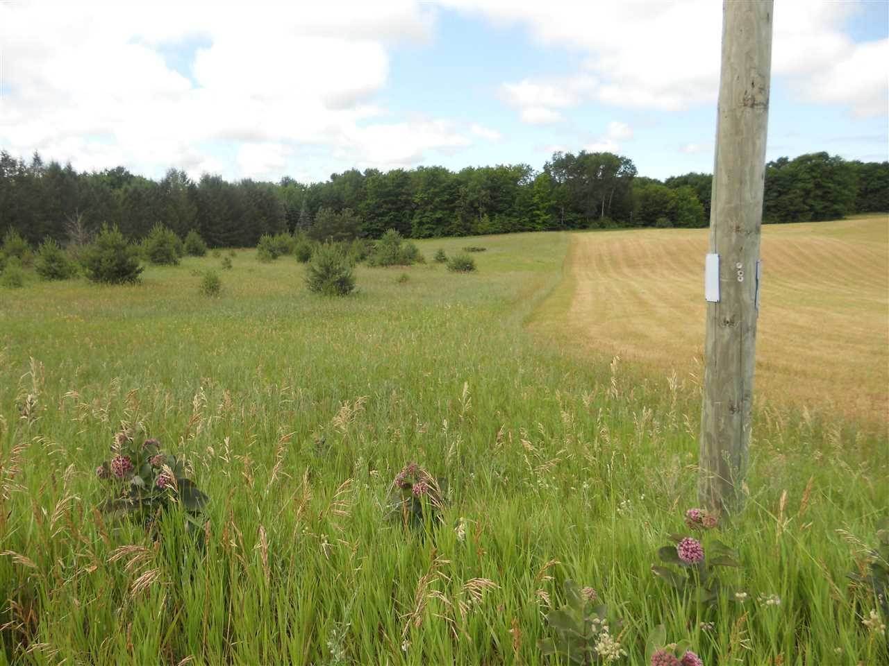 11. Land for Sale at TBD Brubaker Road Petoskey, Michigan 49770 United States