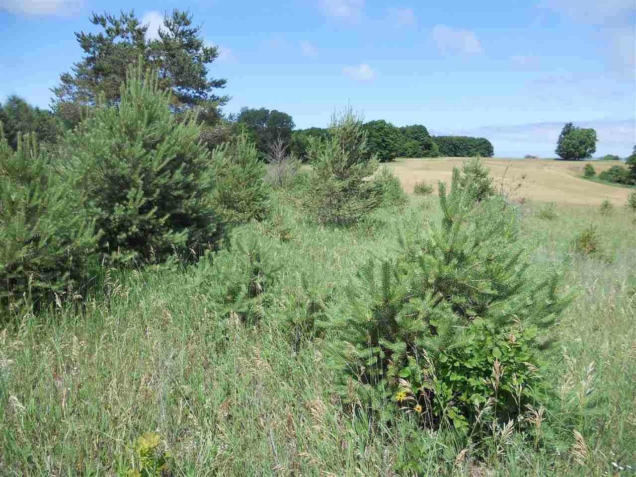 3. Land for Sale at TBD Brubaker Road Petoskey, Michigan 49770 United States