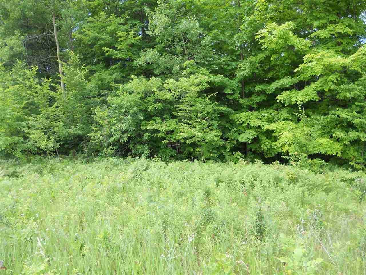 5. Land for Sale at TBD Brubaker Road Petoskey, Michigan 49770 United States