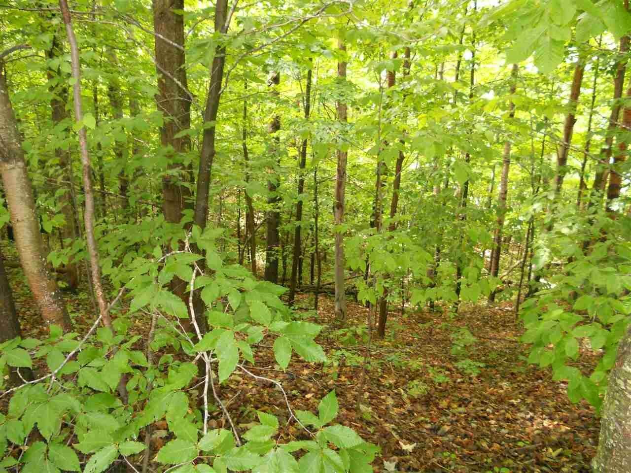 6. Land for Sale at TBD Brubaker Road Petoskey, Michigan 49770 United States